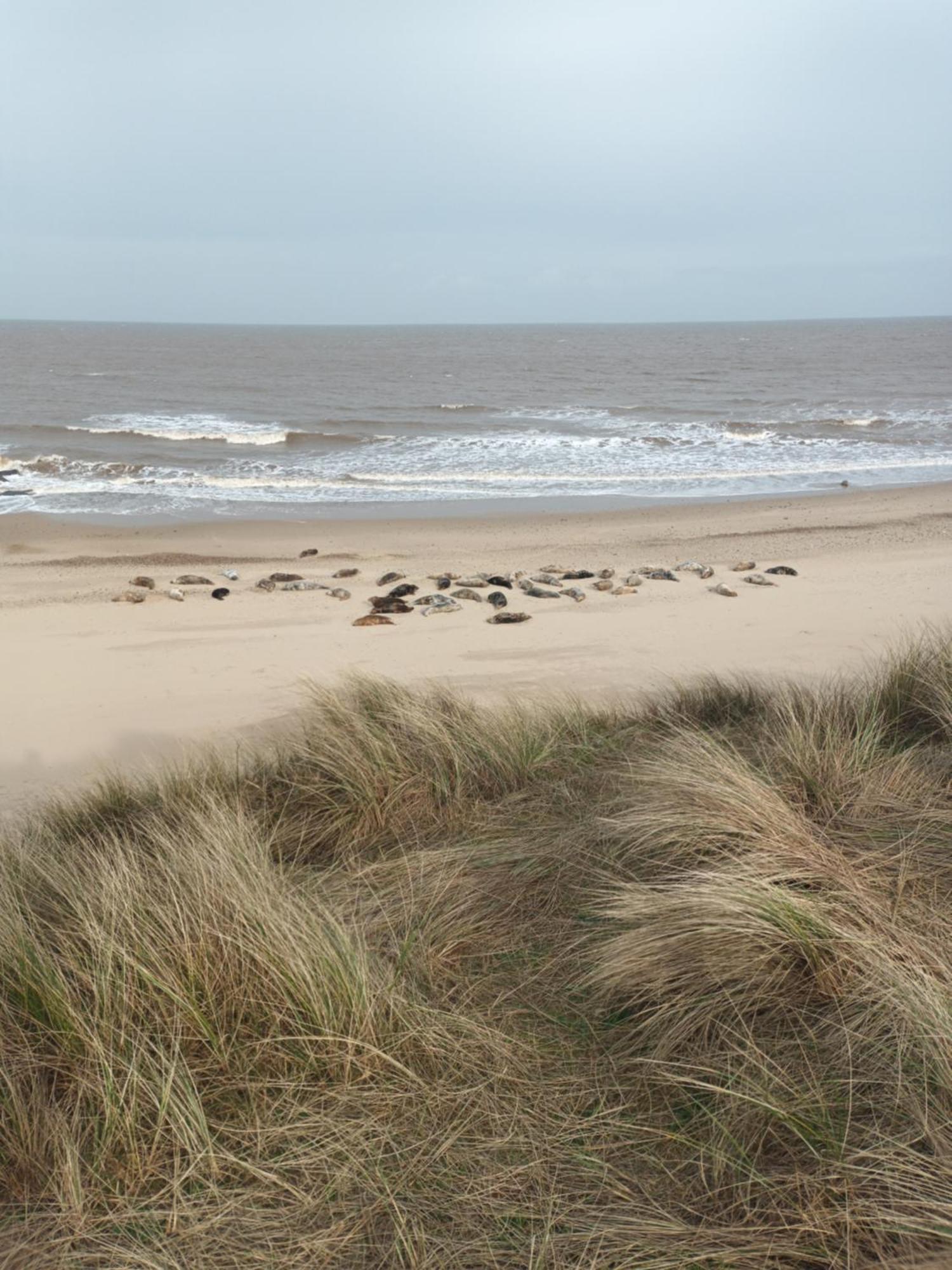 Collier's Corner California Sands Great Yarmouth * Scratby